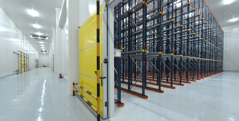 ALS – Jeddah Facility:   All rooms are completely ready with drive-in racking system.